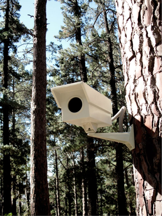 Birdwatcher by Porky Hefer and Warren Lewis