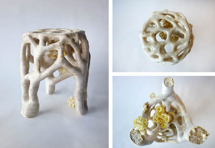 Eric Klarenbeek's Mycelium Project